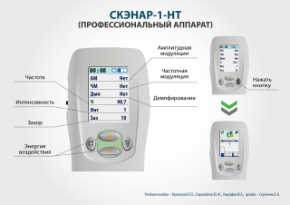 СКЭНАР-1-НТ (исполнение 02.2) Скэнар Оптима в Балашихе купить Медицинский интернет магазин - denaskardio.ru 
